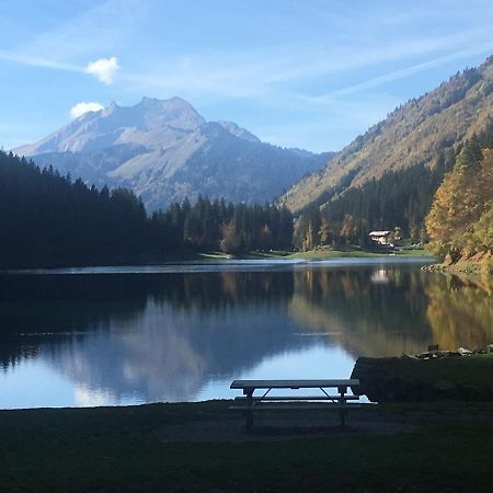 Apartment In Northern Alps With Skiing Nearby Les Gets Luaran gambar