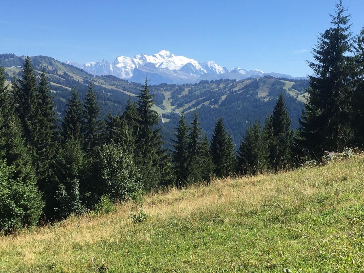 Apartment In Northern Alps With Skiing Nearby Les Gets Luaran gambar