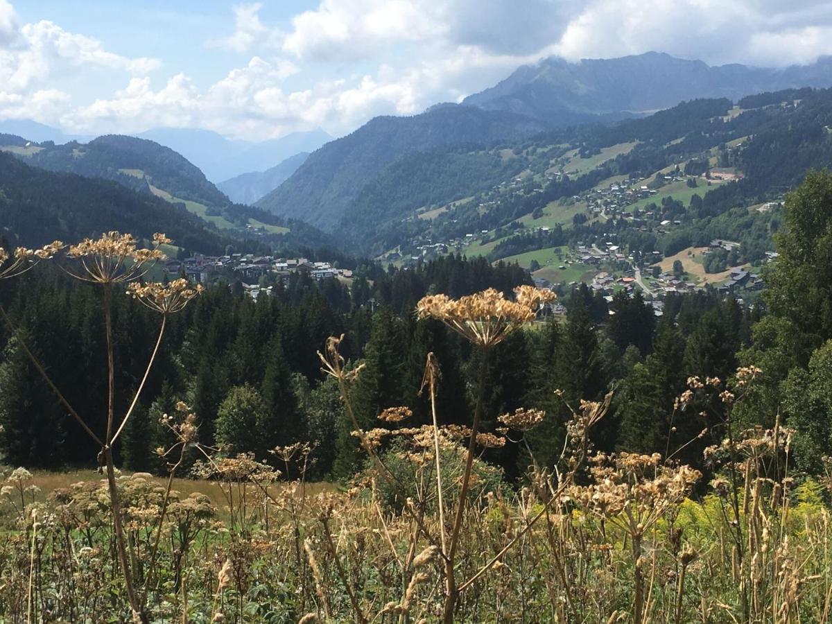 Apartment In Northern Alps With Skiing Nearby Les Gets Luaran gambar
