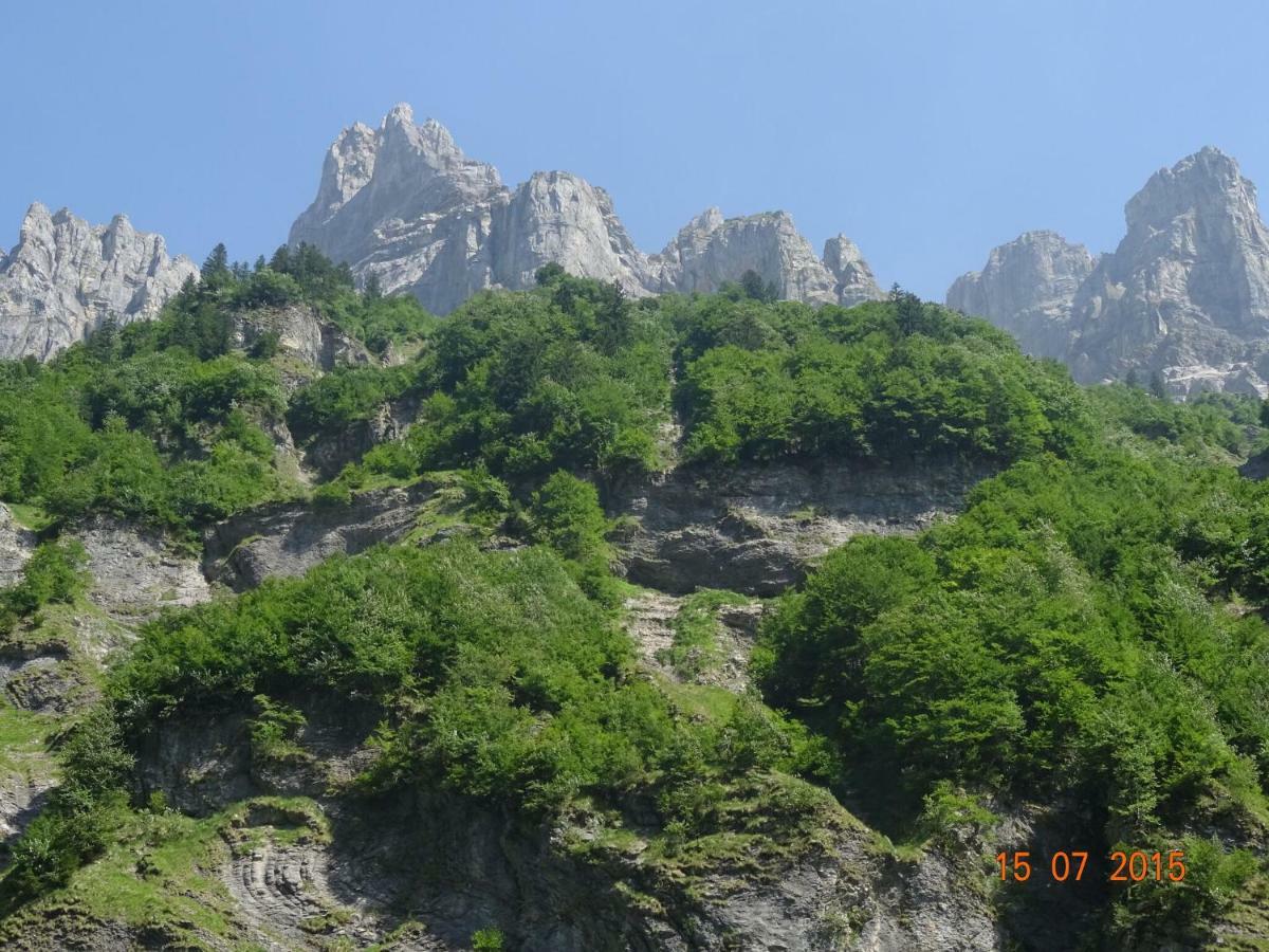 Apartment In Northern Alps With Skiing Nearby Les Gets Luaran gambar