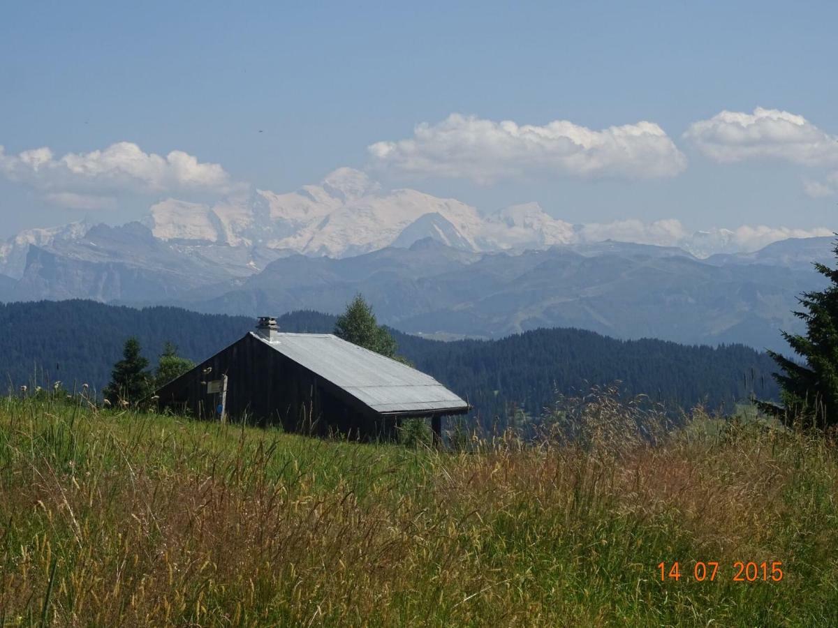 Apartment In Northern Alps With Skiing Nearby Les Gets Luaran gambar